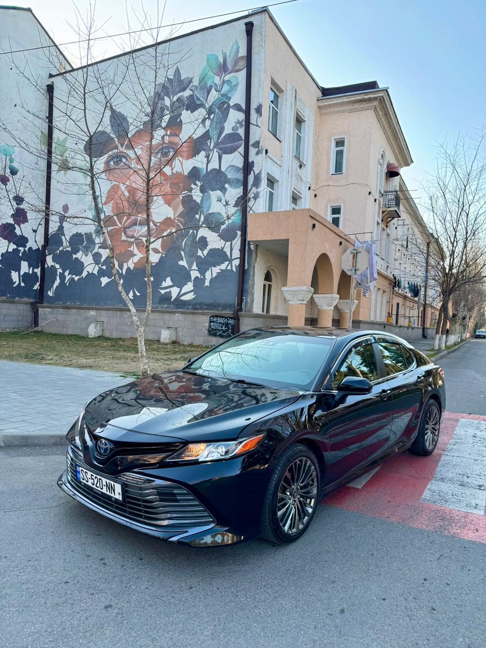 Vehicle Image