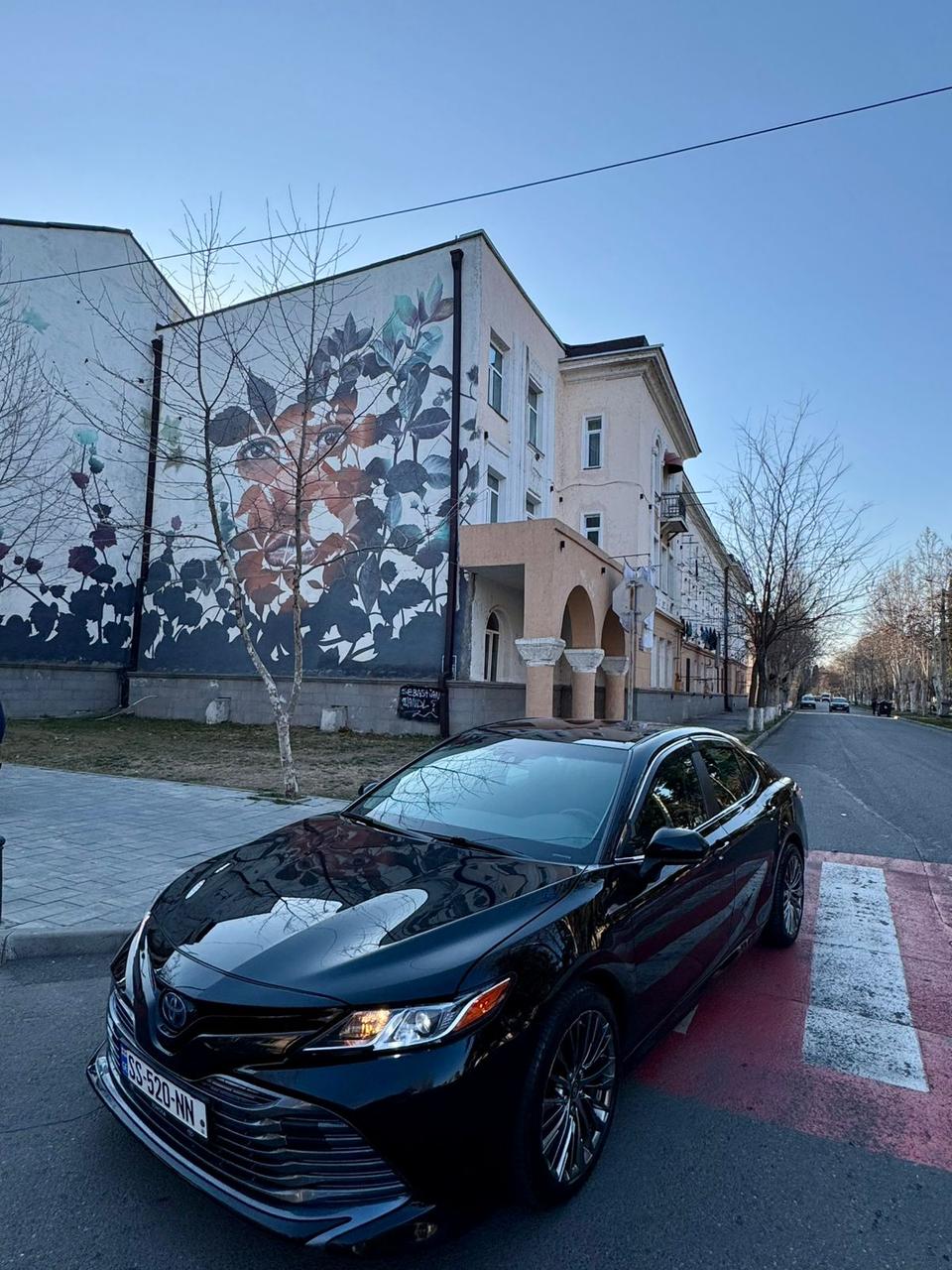 Vehicle Image