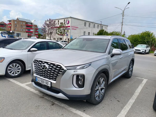 Hyundai Palisade 2021 — car rental Georgia