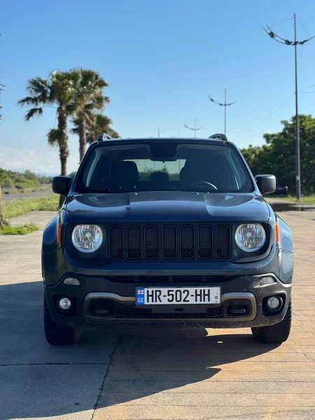 Jeep Renegade 2019 — car rental Georgia