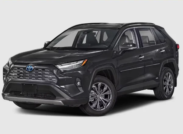 Toyota RAV4 2019 — car rental Georgia